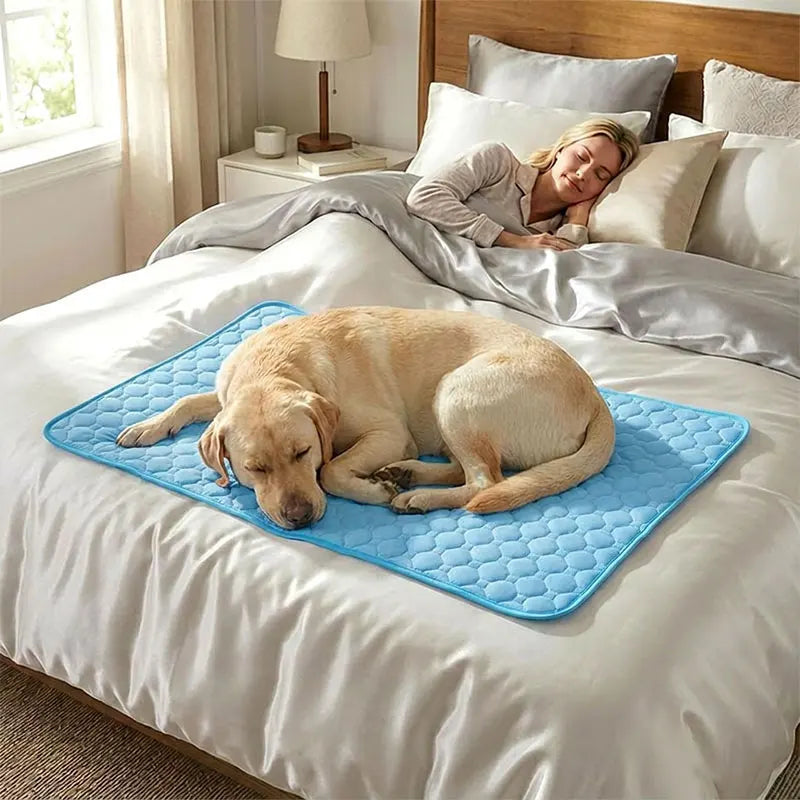 Tapis rafraîchissant pour chien et chat – Idéal pour l'été